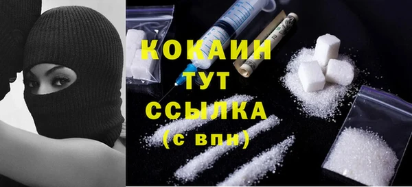 крисы Баксан