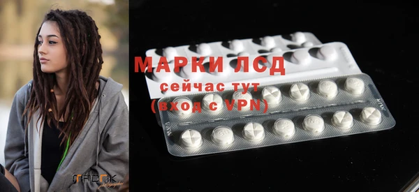индика Балабаново