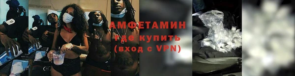 индика Балабаново