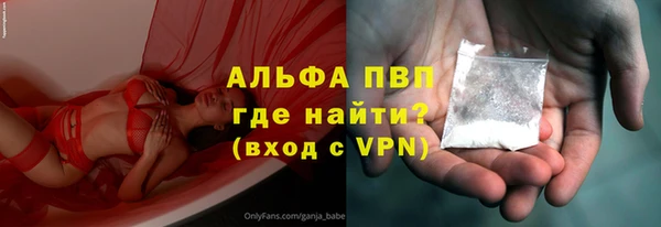 крисы Баксан