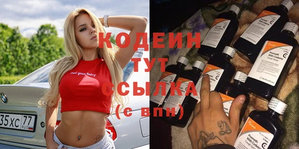 индика Балабаново