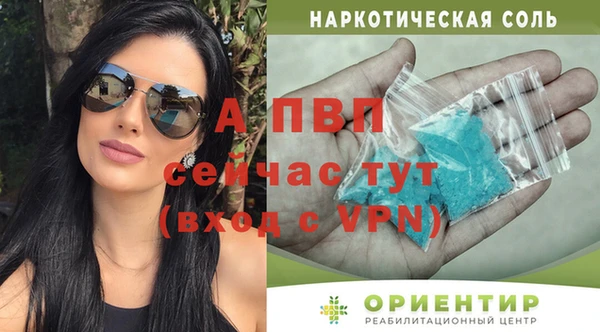 индика Балабаново