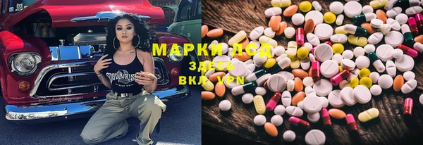 крисы Баксан