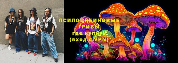 индика Балабаново