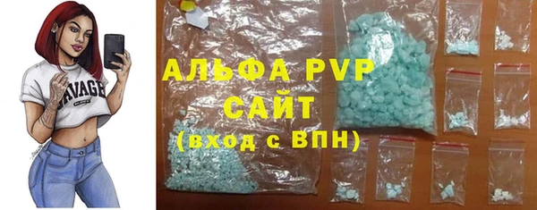 крисы Баксан