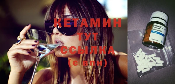 крисы Баксан
