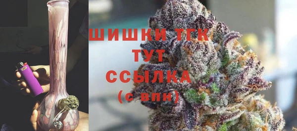 индика Балабаново