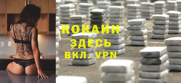 индика Балабаново