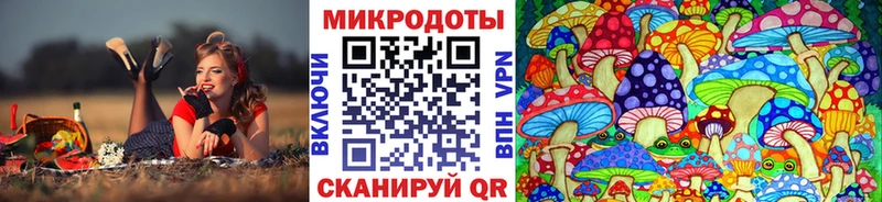 где найти наркотики  Нижняя Тура  Галлюциногенные грибы Cubensis 